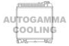 BMW 17111176182 Radiator, engine cooling